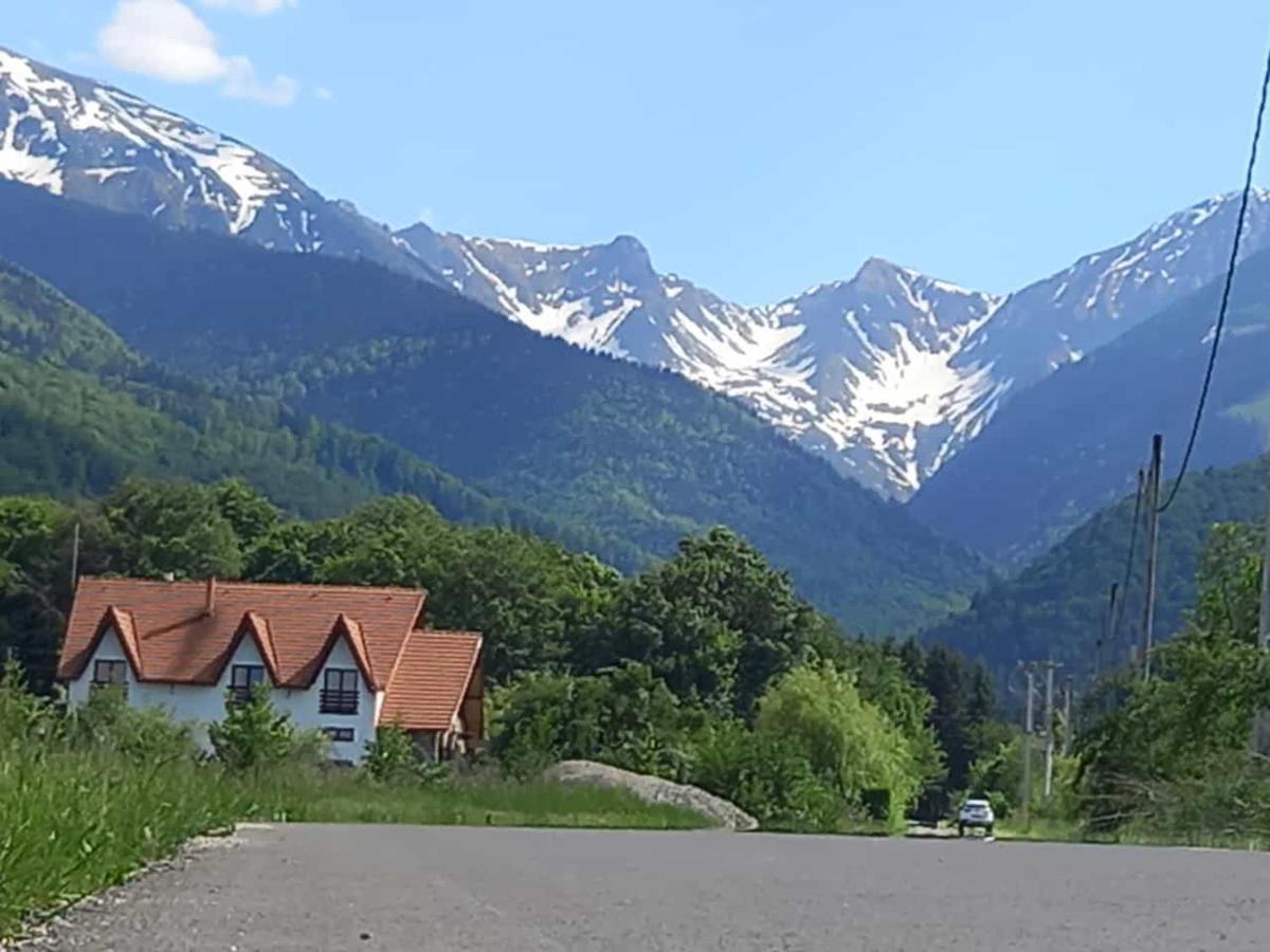 Pensiunea Maya Sîmbăta de Sus Zewnętrze zdjęcie