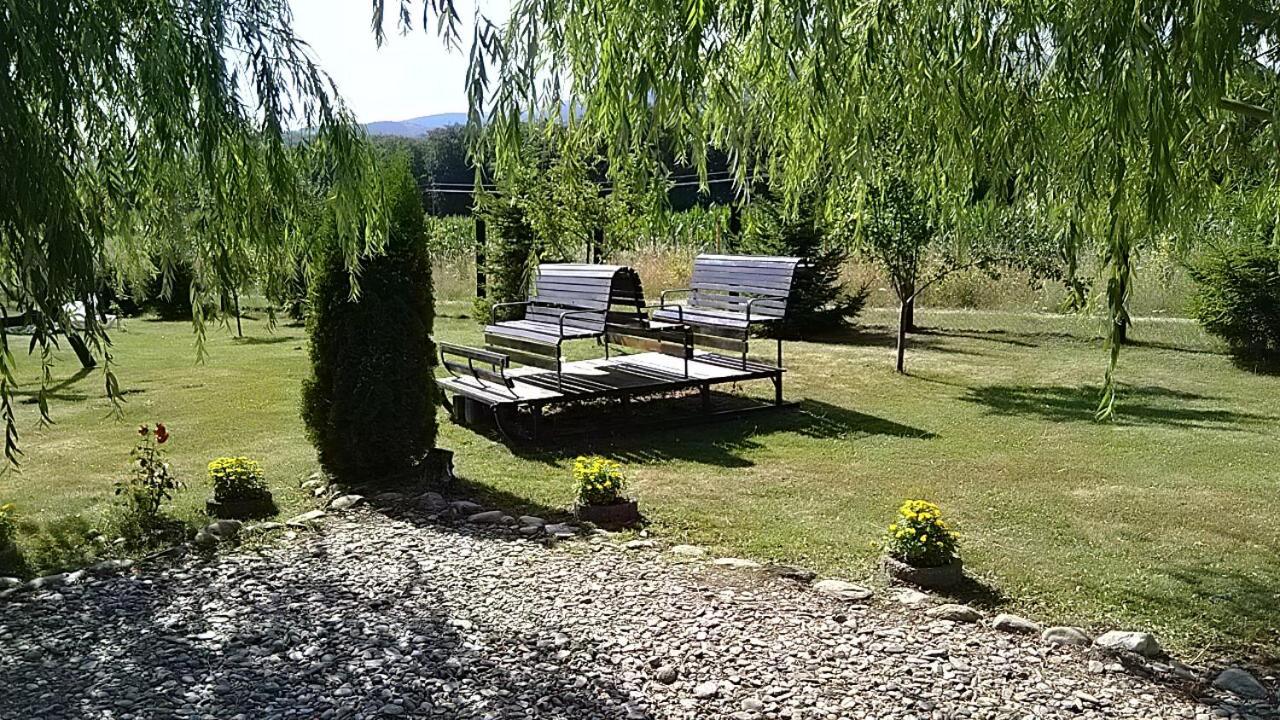 Pensiunea Maya Sîmbăta de Sus Zewnętrze zdjęcie