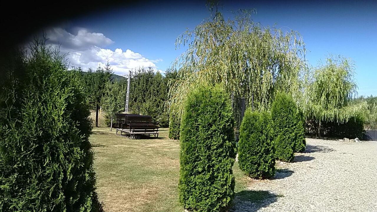 Pensiunea Maya Sîmbăta de Sus Zewnętrze zdjęcie