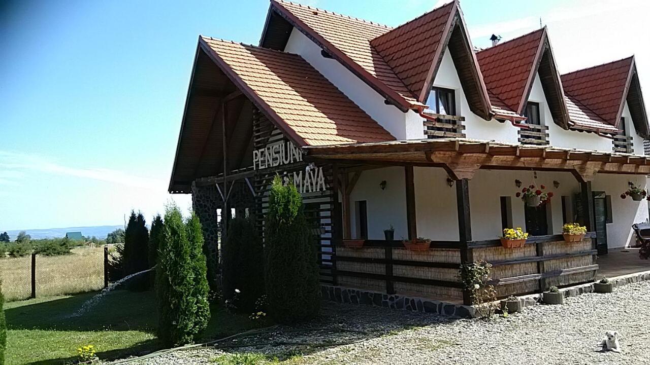 Pensiunea Maya Sîmbăta de Sus Zewnętrze zdjęcie