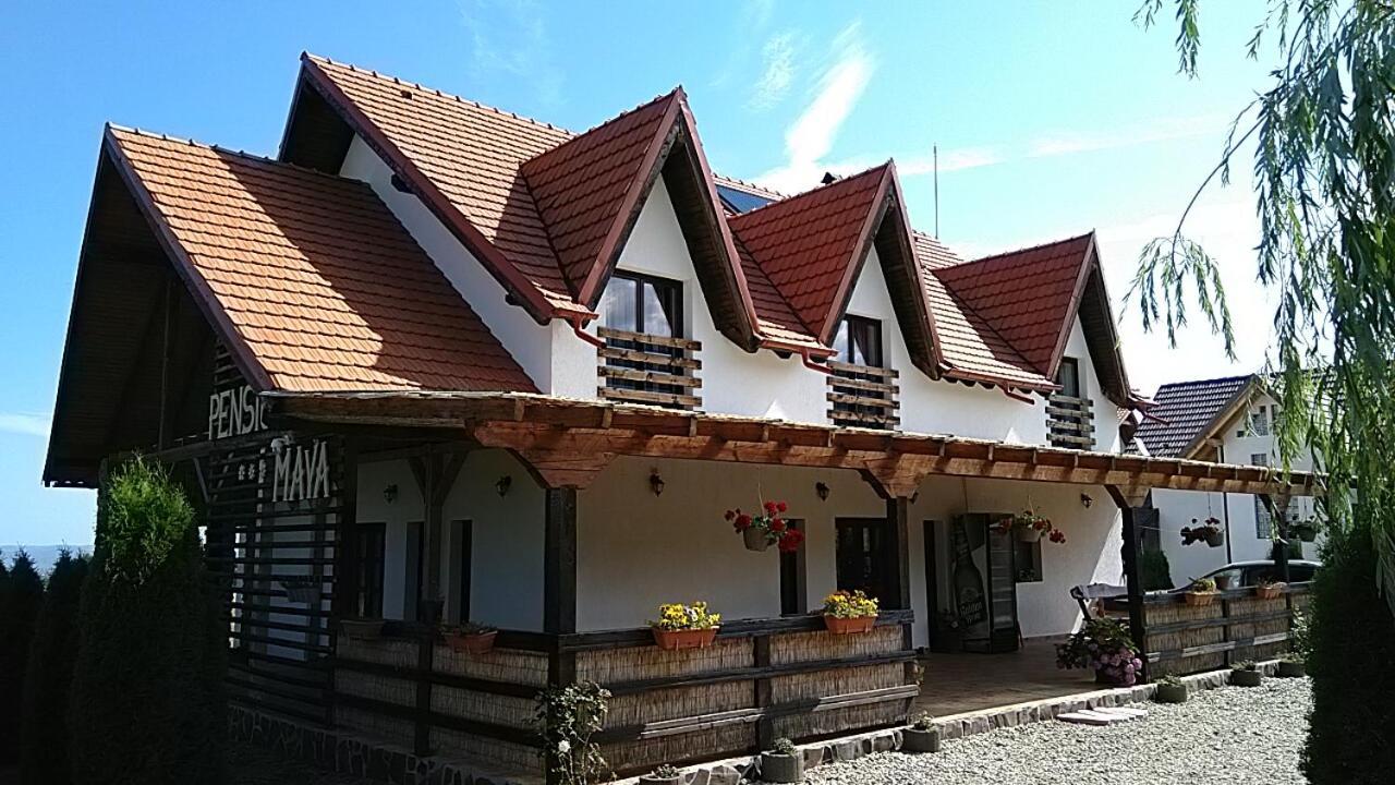 Pensiunea Maya Sîmbăta de Sus Zewnętrze zdjęcie