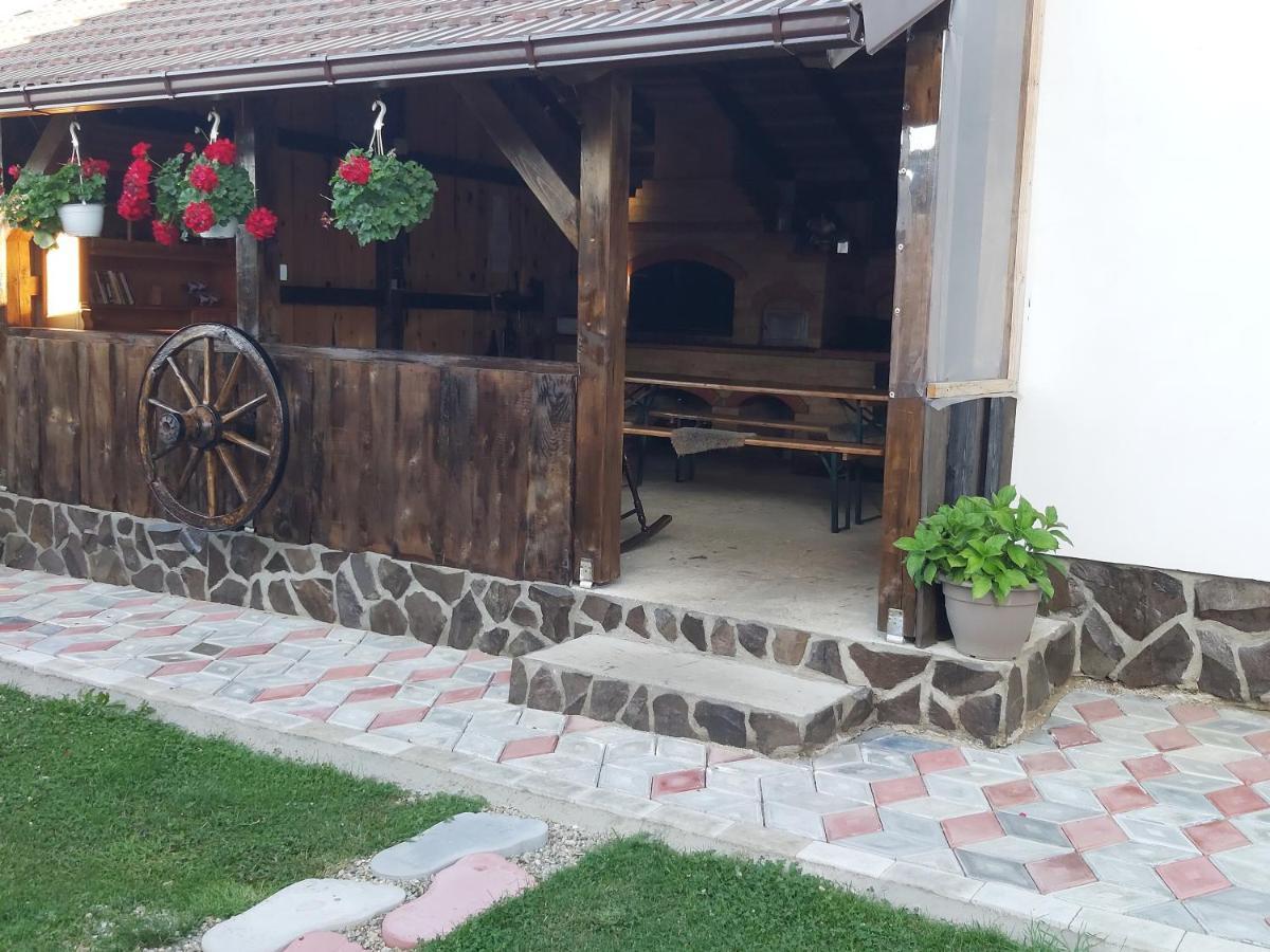 Pensiunea Maya Sîmbăta de Sus Zewnętrze zdjęcie