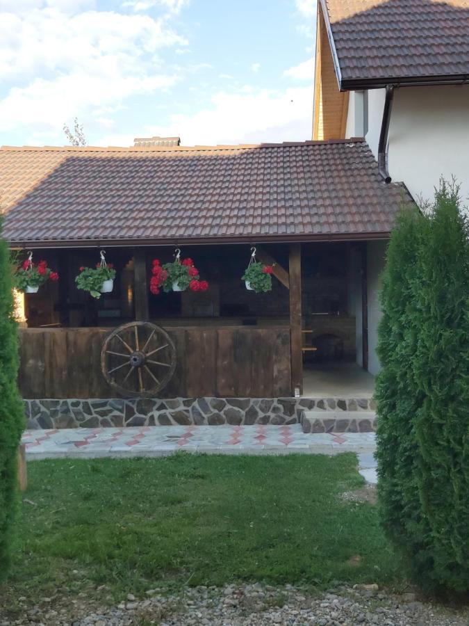 Pensiunea Maya Sîmbăta de Sus Zewnętrze zdjęcie