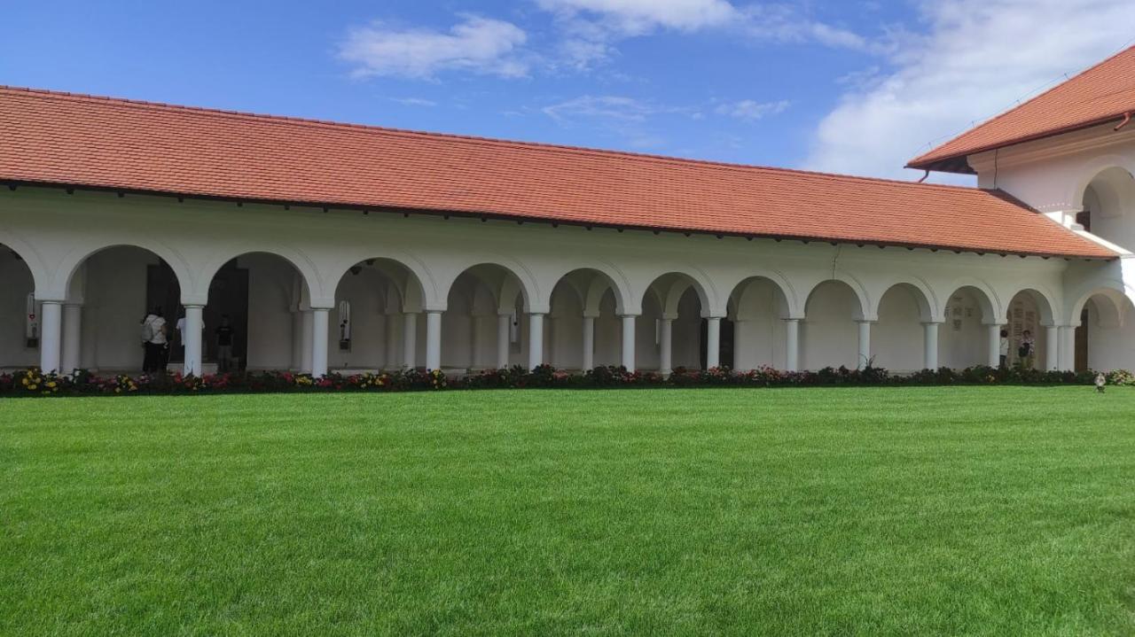 Pensiunea Maya Sîmbăta de Sus Zewnętrze zdjęcie