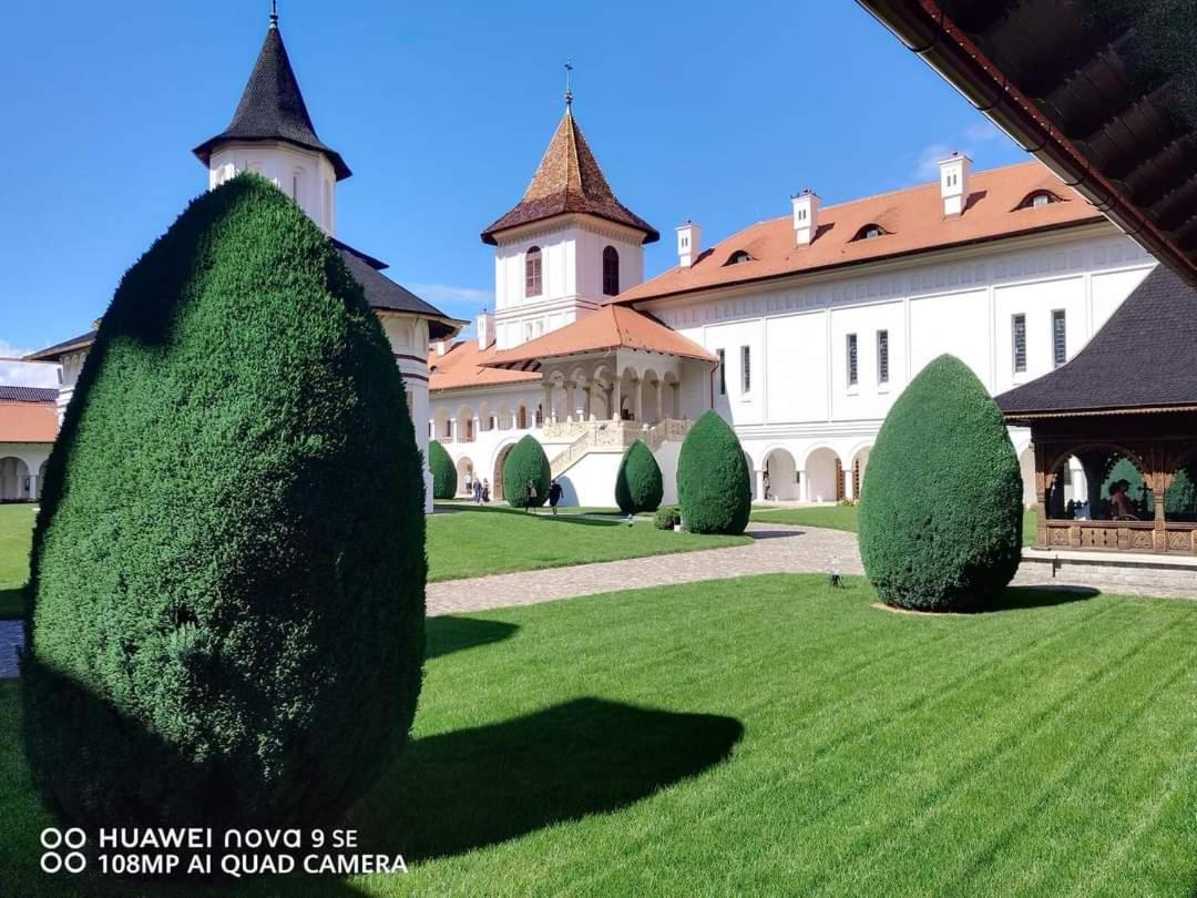 Pensiunea Maya Sîmbăta de Sus Zewnętrze zdjęcie