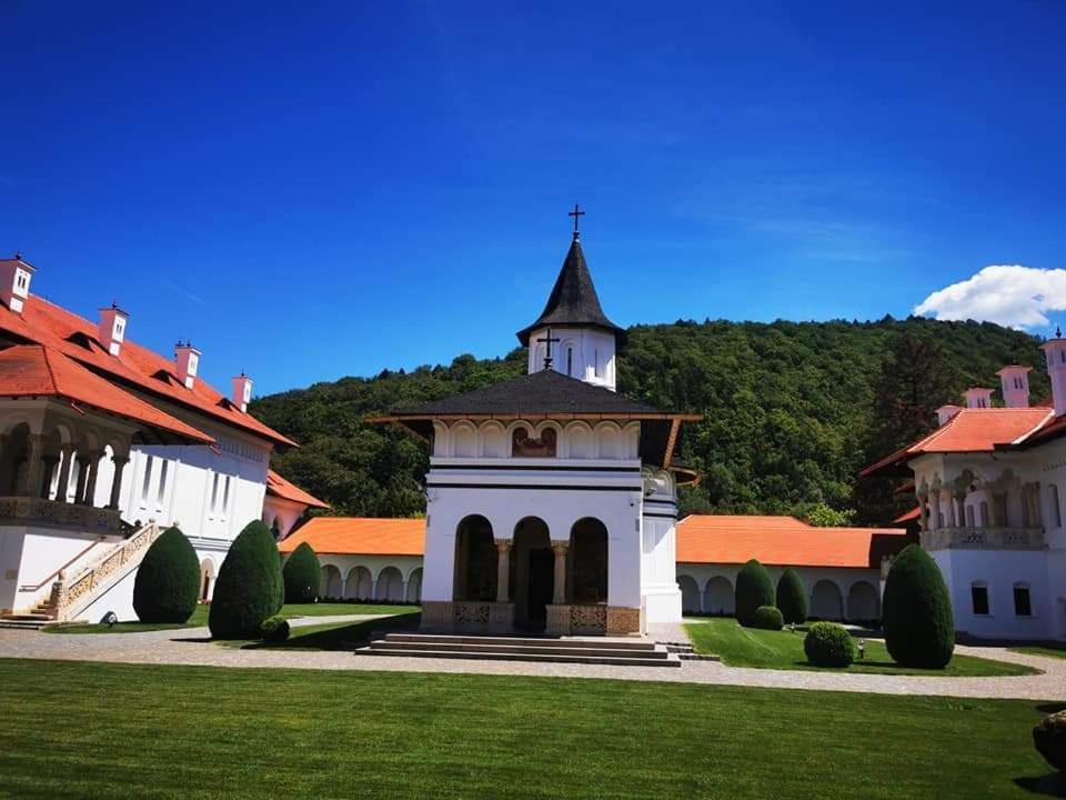 Pensiunea Maya Sîmbăta de Sus Zewnętrze zdjęcie