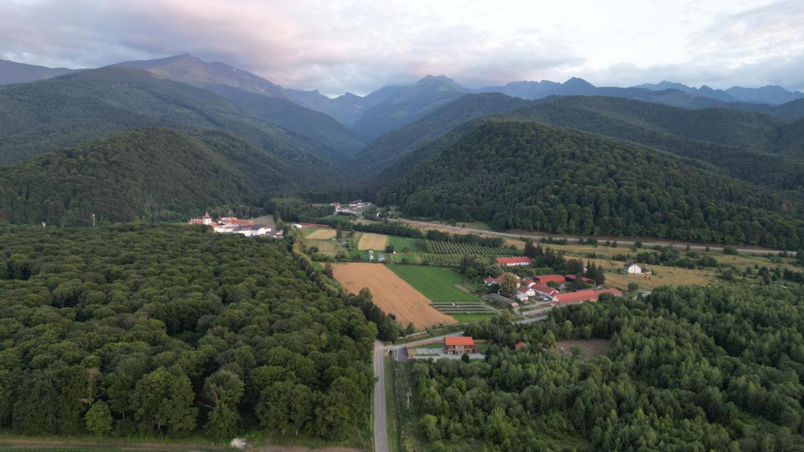 Pensiunea Maya Sîmbăta de Sus Zewnętrze zdjęcie