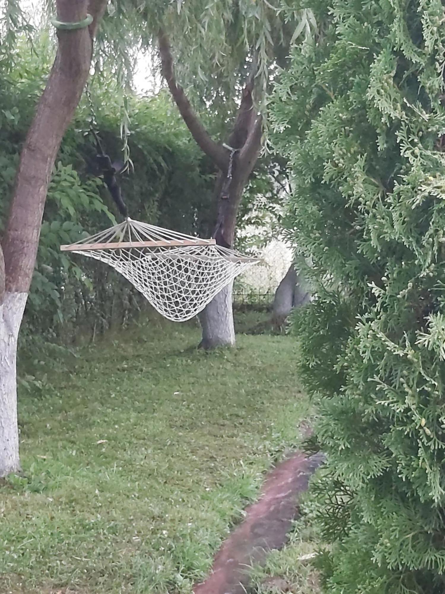 Pensiunea Maya Sîmbăta de Sus Zewnętrze zdjęcie